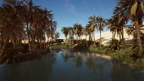 Palmen-Gedeihen-Rund-Um-Ein-Wasserbecken-In-Einem-Park-In-Der-Palmenwüste